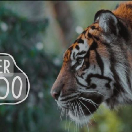The Beautiful Bungalow Amazing Location For Chester & Zoo Wervin Extérieur photo
