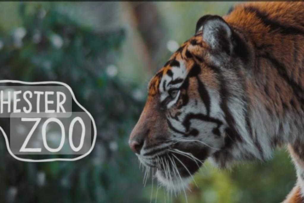 The Beautiful Bungalow Amazing Location For Chester & Zoo Wervin Extérieur photo